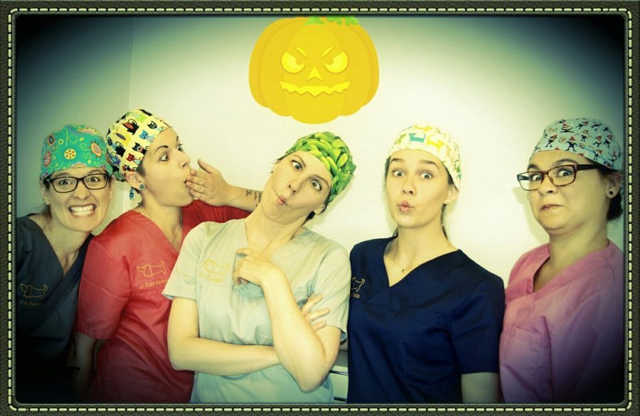 Gruppenbild humoristisch Halloween Isabel, Jana, Greta, Nadine